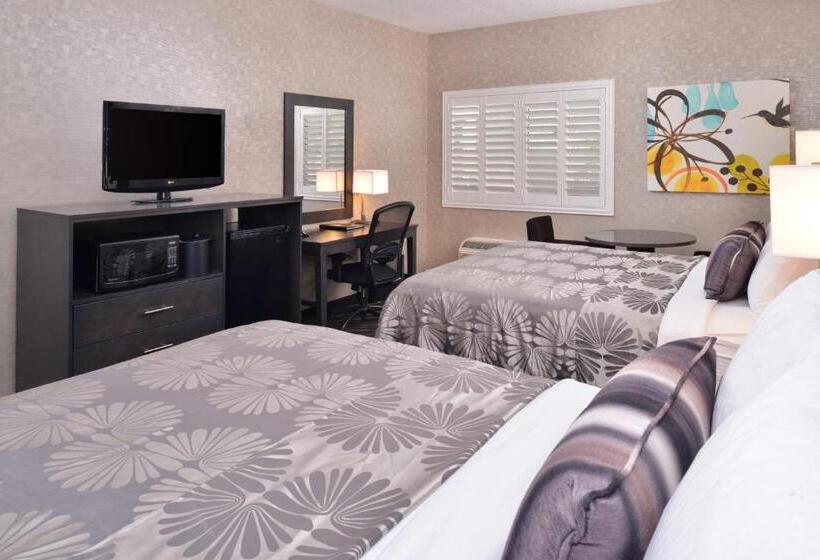 Chambre Standard Adaptée aux Personnes à Mobilité Réduite, Best Western Plus Park Place Inn Mini Suites