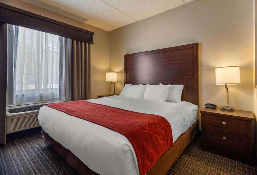 Люкс Кровать Кинг, Comfort Suites