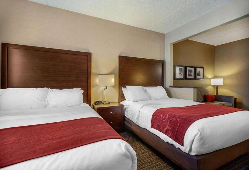 Люкс, Comfort Suites