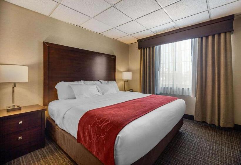Люкс Superior, Comfort Suites