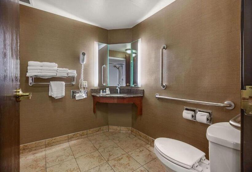 Люкс Адаптированный для Инвалидов, Comfort Suites