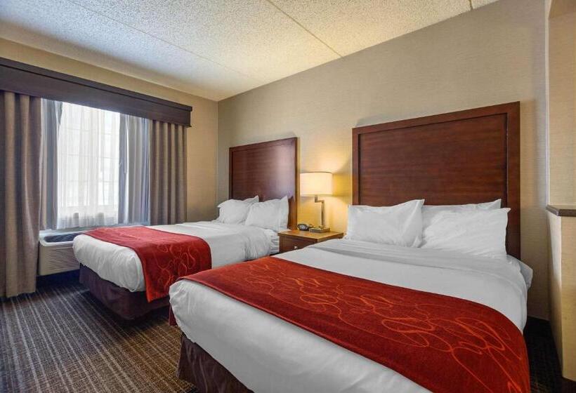 Люкс Адаптированный для Инвалидов, Comfort Suites