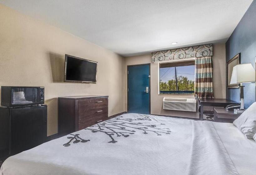 Стандартный Номер Кровать Кинг, Econo Lodge Inn & Suites