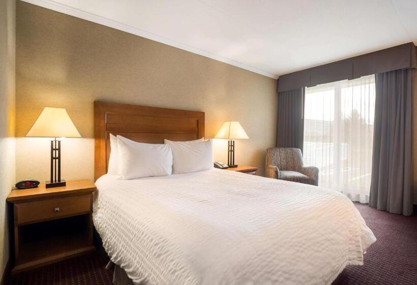 Номер Стандарт Адаптированный для Инвалидов, Best Western Plus Norwester Hotel & Conference Centre