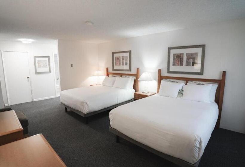 スーペリアールーム, Robin Hood Inn And Suites