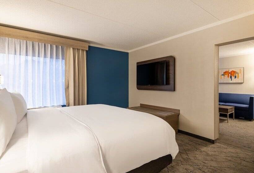 Номер Стандарт, Holiday Inn Express & Suites Greensboro   I 40 Atwendover, An Ihg