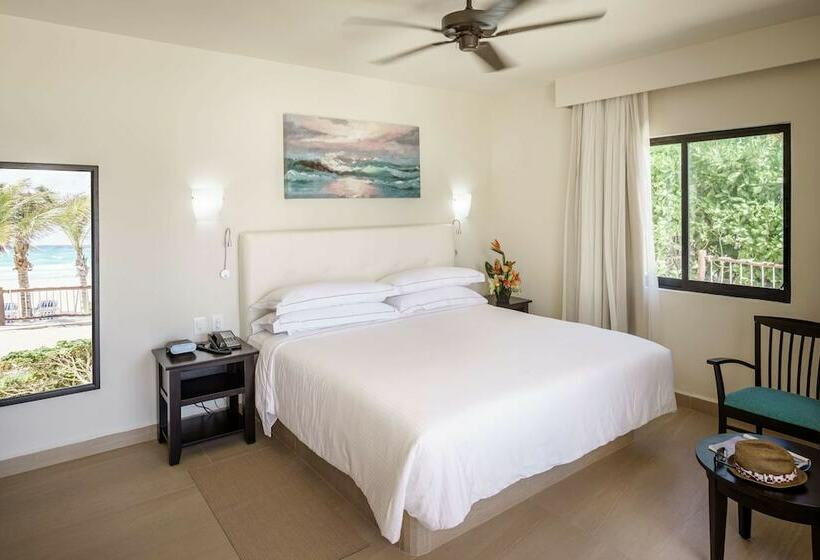 Habitació Superior, Allegro Playacar   All Inclusive Resort