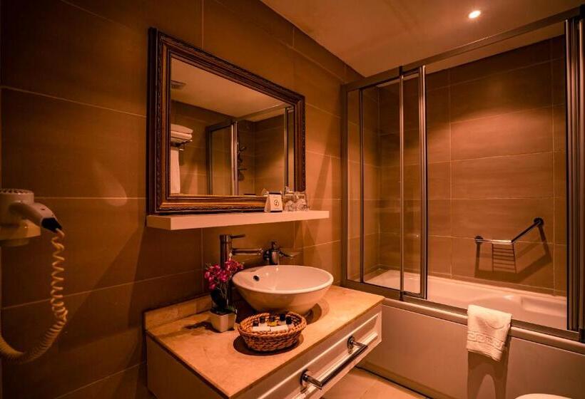 スタンダードルーム, Avicenna Hotel Sultanahmet