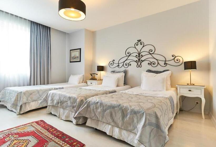 プレミアムトリプルルーム, Celal Sultan Hotel Special Class