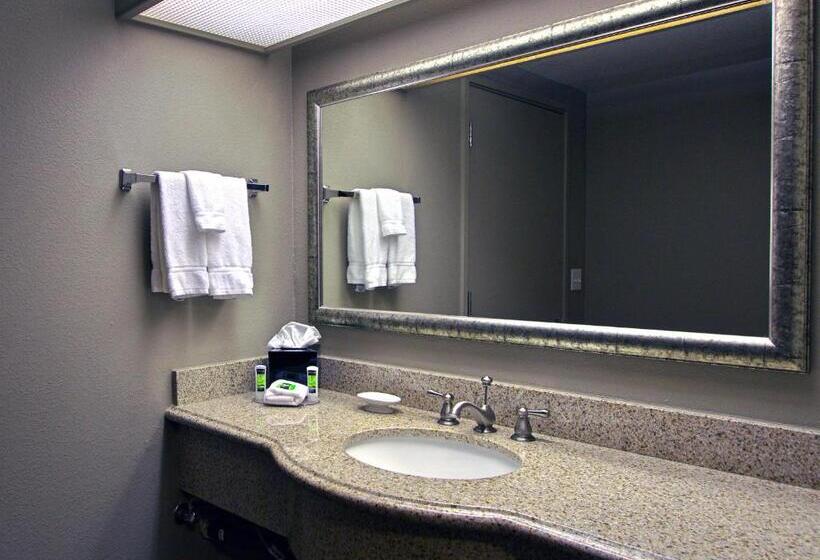 Quarto Standard Cama King, Executive Inn & Suites Oakland