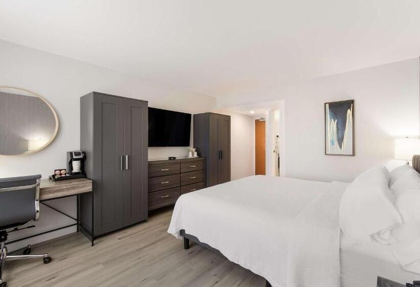 Номер Стандарт, Revival Scottsdale Studios