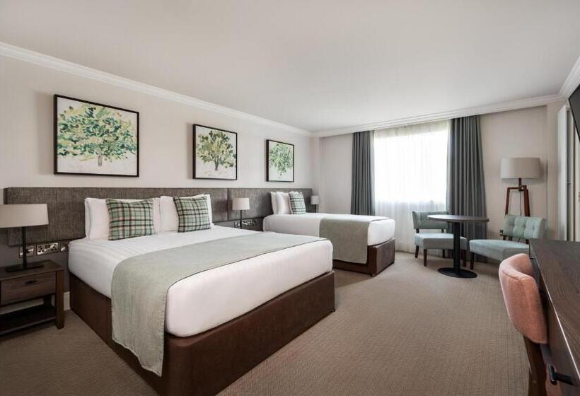 Номер Deluxe, Ivanhoe Inn And