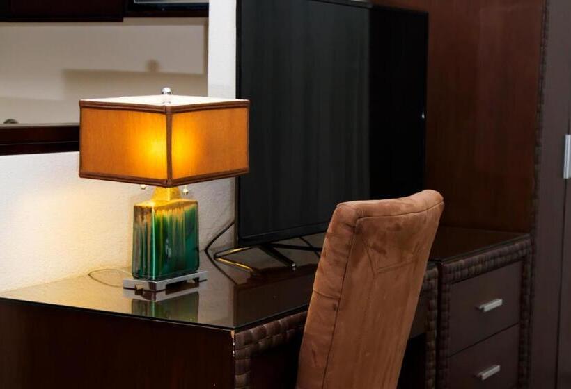 스탠다드 룸 킹사이즈 침대, Rincon Del Valle Hotel & Suites