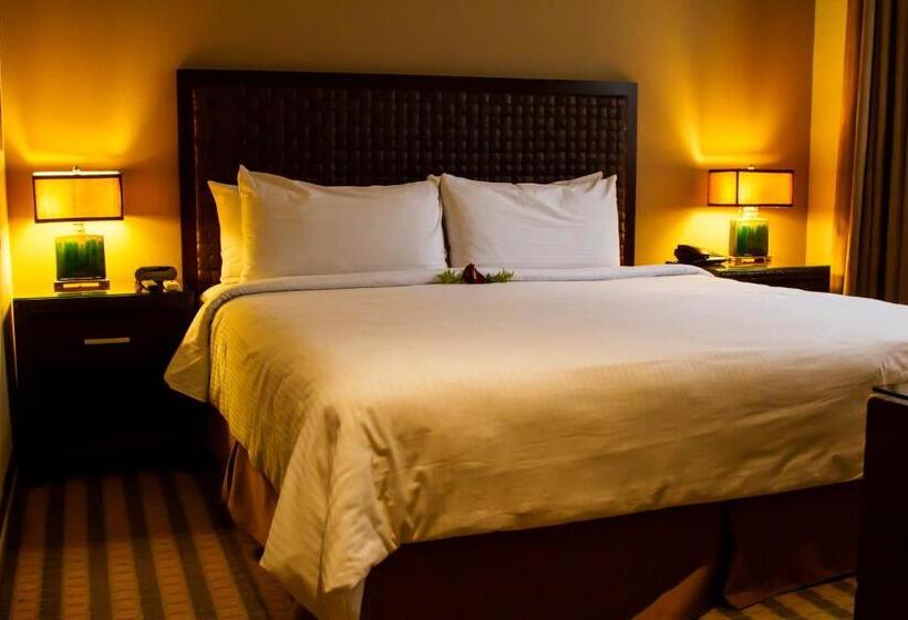 스탠다드 룸, Rincon Del Valle Hotel & Suites