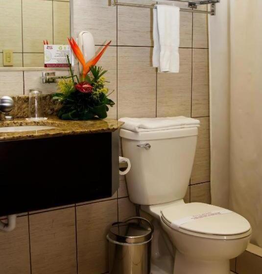 스탠다드 룸 킹사이즈 침대, Rincon Del Valle Hotel & Suites