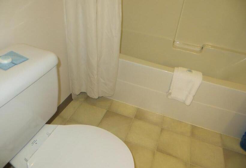 Стандартный Номер Кровать Кинг, Skagit Motel