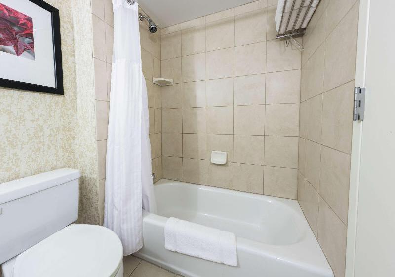 اتاق استاندارد, Green Park Hotel Paris