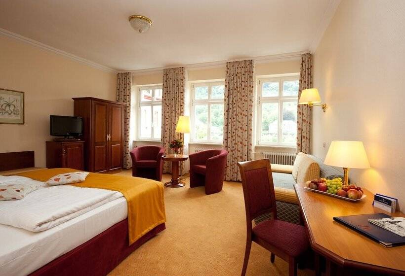 اتاق سوپریور, City Partner Hotel Holländer Hof