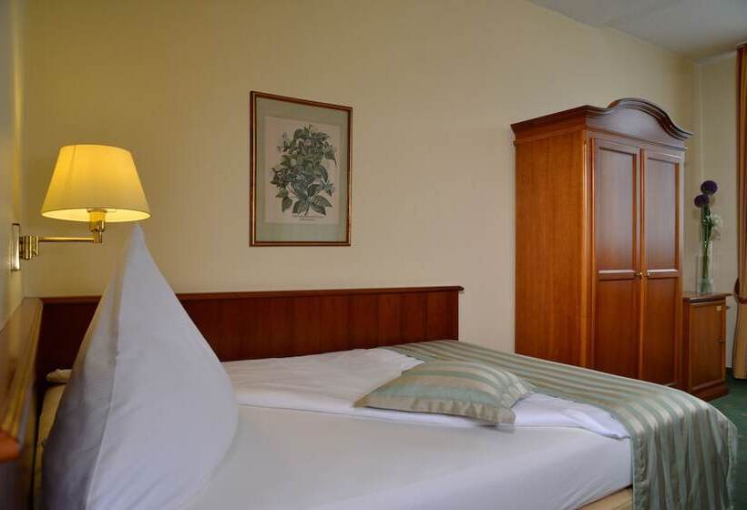 اتاق سوپریور یک تخته, City Partner Hotel Holländer Hof