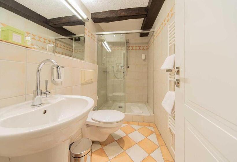 Номер Стандарт Индивидуальный, Romantik Hotel Walhalla