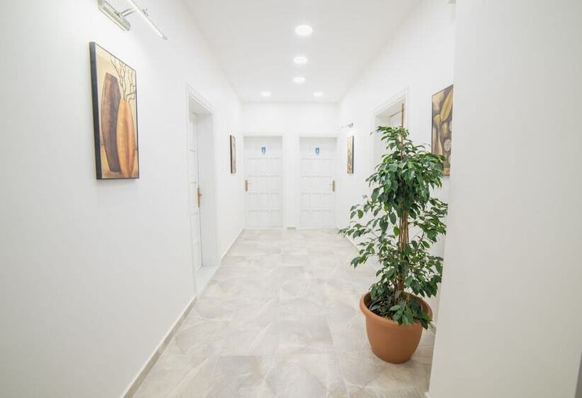 经济房, 9bodrum