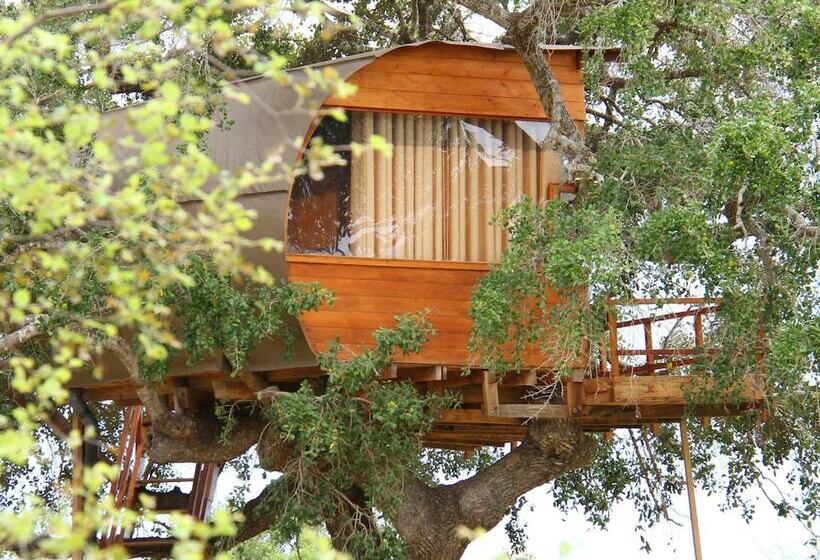 Дом 1 Спальня, Leopard Nest   Glamping In Yala