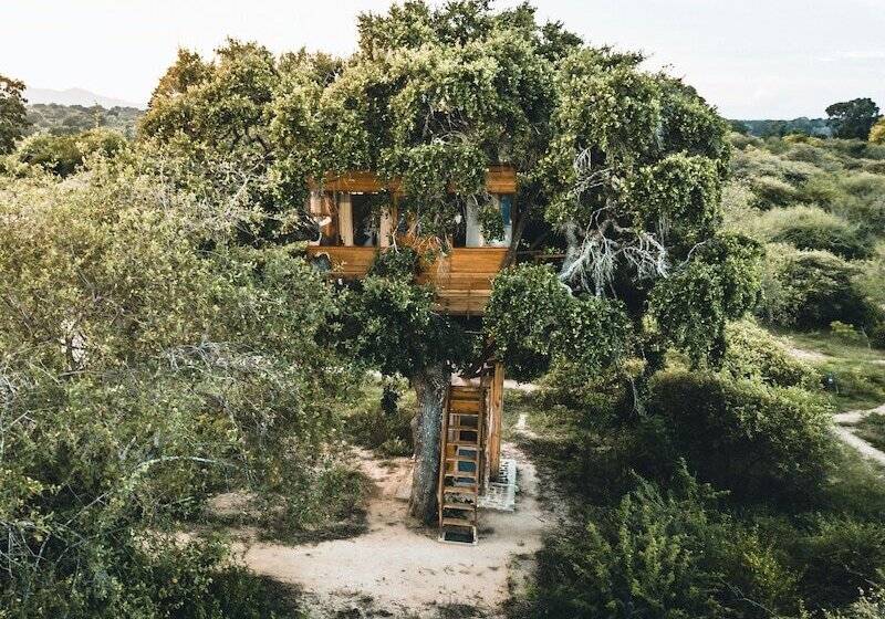 Дом 1 Спальня, Leopard Nest   Glamping In Yala