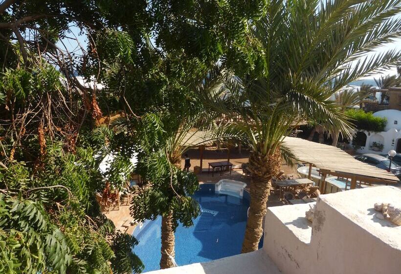 اتاق استاندارد با سرویس بهداشتی مشترک, Inmo Divers Home