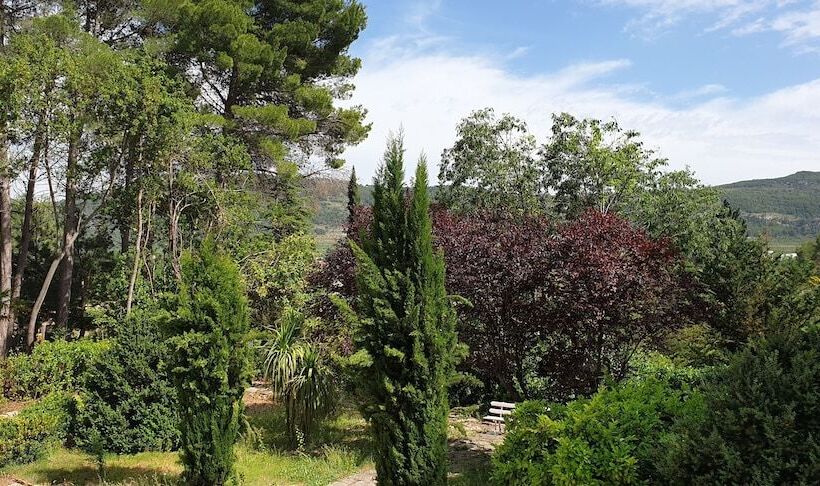 סוויטת ג'וניור נוף לגינה, Finca Micalas