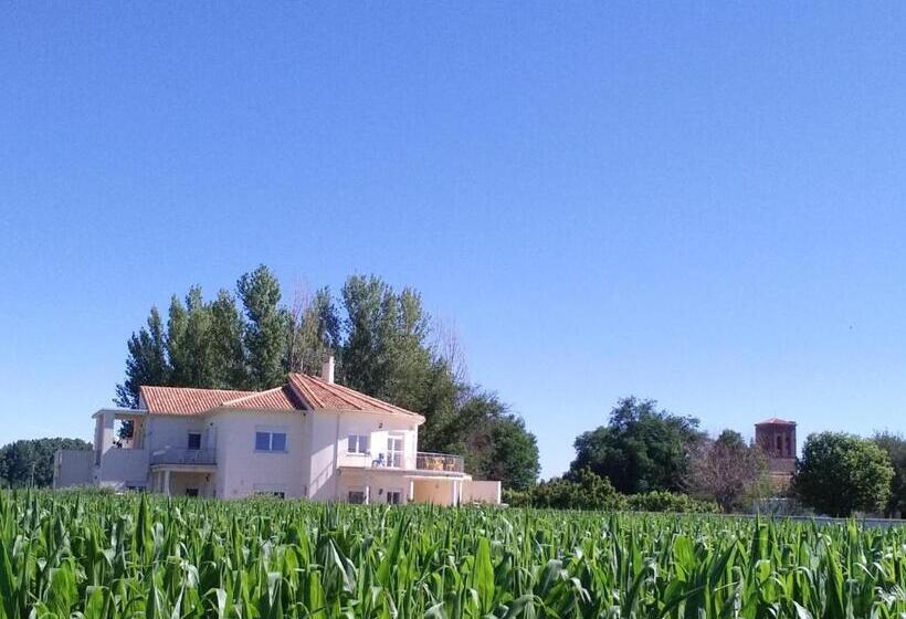 Люкс с Террасой, Casa Miguel & Sally