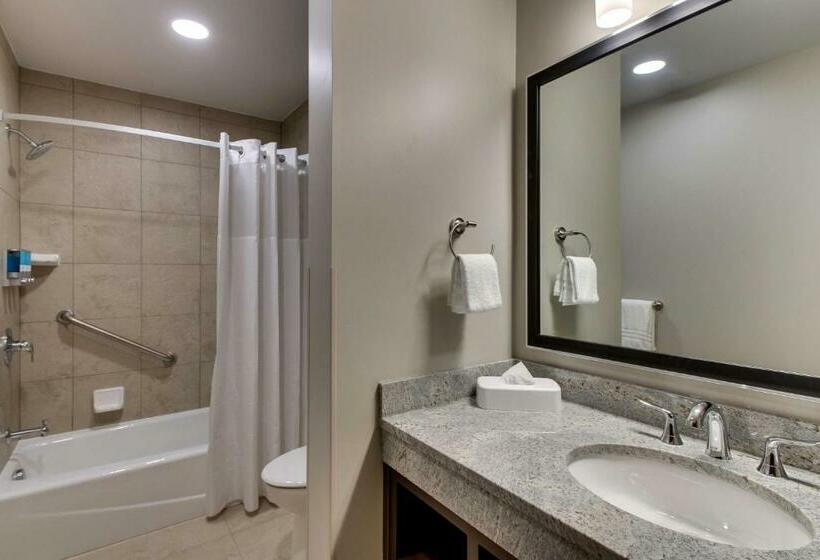带大床的豪华间, Drury Plaza Hotel Milwaukee Downtown