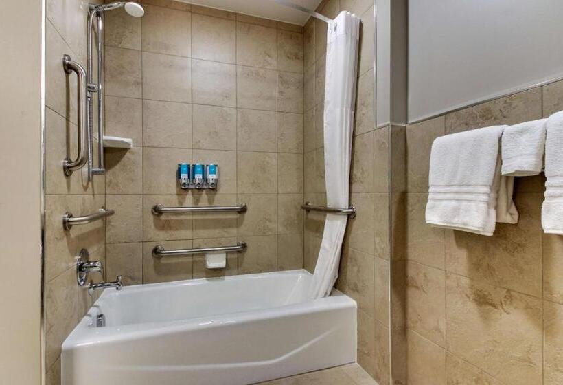 适合残疾人士使用的套间, Drury Plaza Hotel Milwaukee Downtown