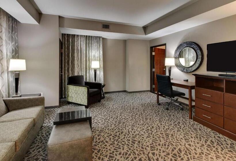 适合残疾人士使用的套间, Drury Plaza Hotel Milwaukee Downtown