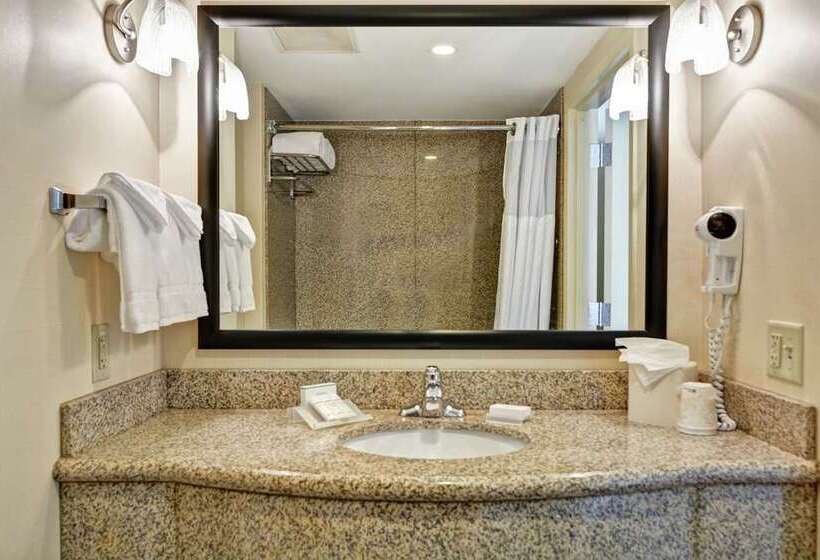 Quarto Standard Cama King, Hilton Garden Inn Chicago Downtown South Loop