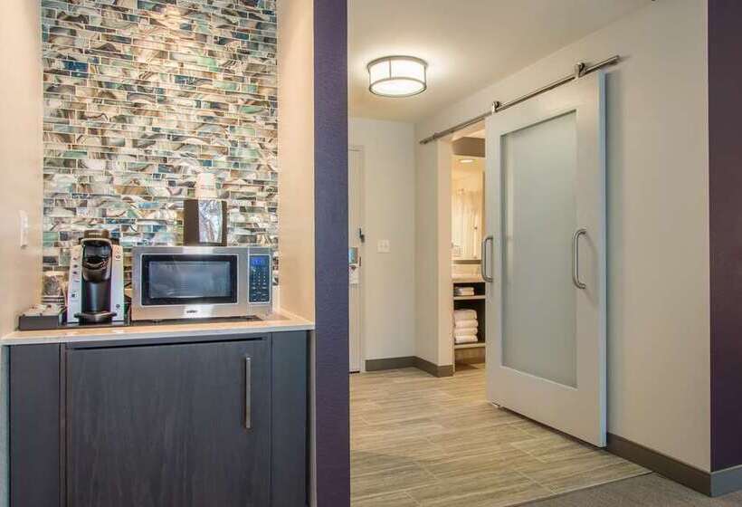 Quarto Standard Cama King para Deficientes, Hilton Garden Inn Chicago Downtown South Loop