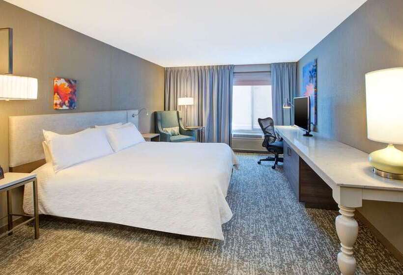 Quarto Standard Cama King para Deficientes, Hilton Garden Inn Chicago Downtown South Loop