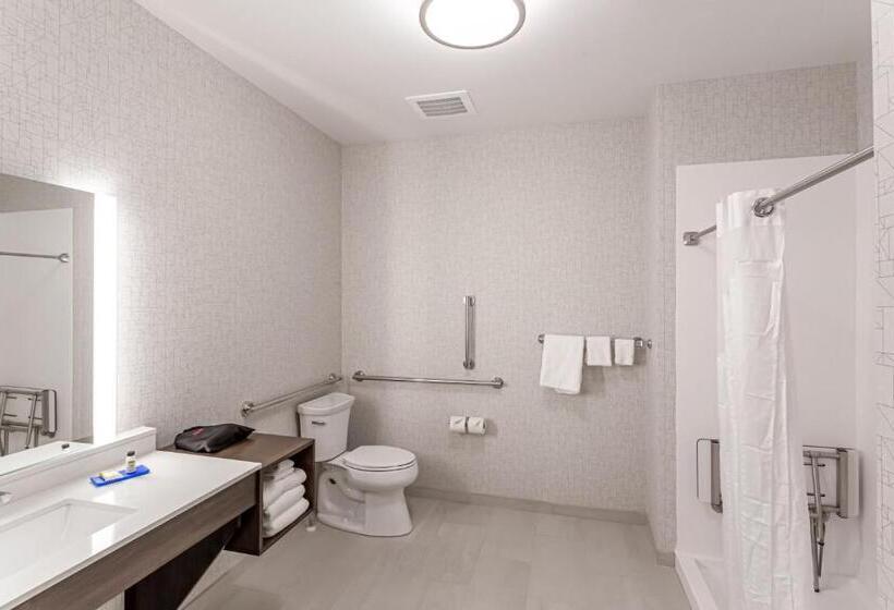 带大床的套房, Holiday Inn Express & Suites   Columbus   Worthington, An Ihg
