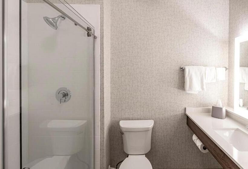 套房, Holiday Inn Express & Suites   Columbus   Worthington, An Ihg