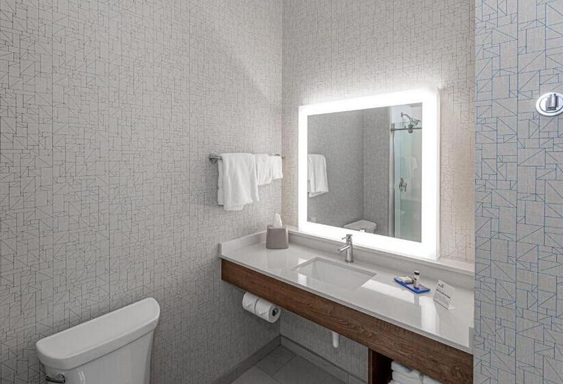 适合残疾人士使用的套间, Holiday Inn Express & Suites   Columbus   Worthington, An Ihg