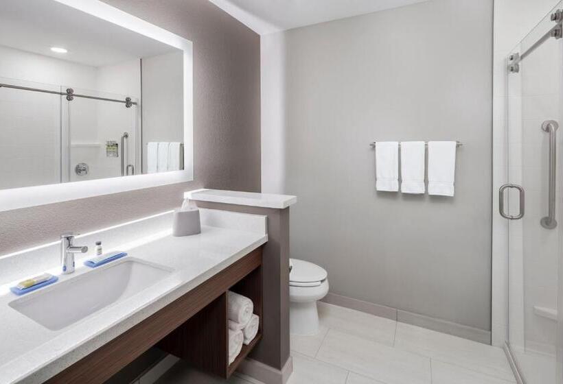 Номер Стандарт, Holiday Inn Express & Suites   Odessa I 20, An Ihg