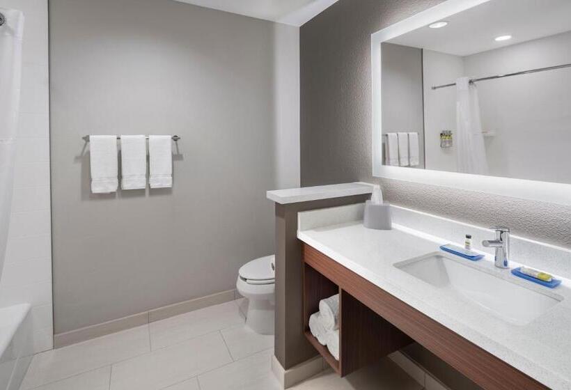 Люкс Кровать Кинг, Holiday Inn Express & Suites   Odessa I 20, An Ihg