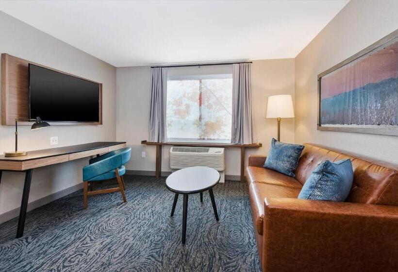 استودیو استاندارد با تخت کینگ, Fairfield Inn & Suites By Marriott Kalamazoo