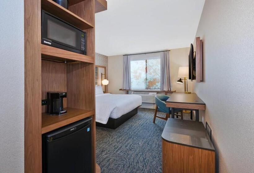 اتاق استاندارد با تخت بزرگ, Fairfield Inn & Suites By Marriott Kalamazoo