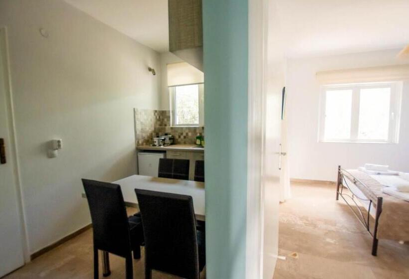 침실 1개 수피리어 아파트, Akrotopi Apartments