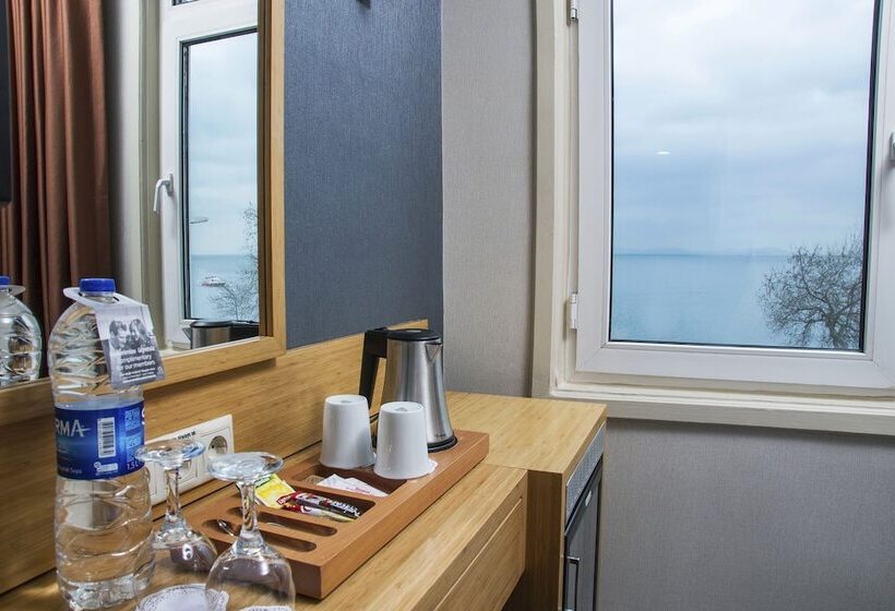 オーシャンビュースタンダードルーム, Radisson Hotel Istanbul Sultanahmet