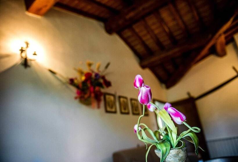 ２ベッドルームアパートメント, Agriturismo Palazzo Conti   B
