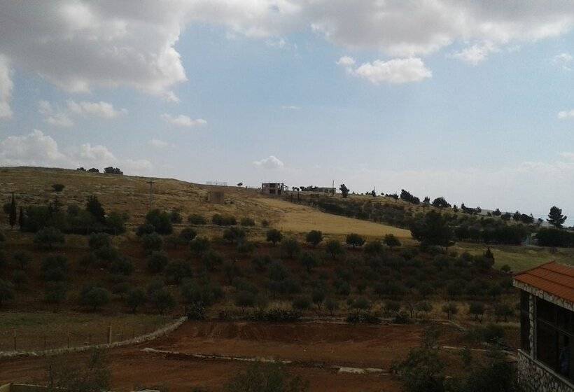 اتاق استاندارد یک نفره, Town Of Nebo