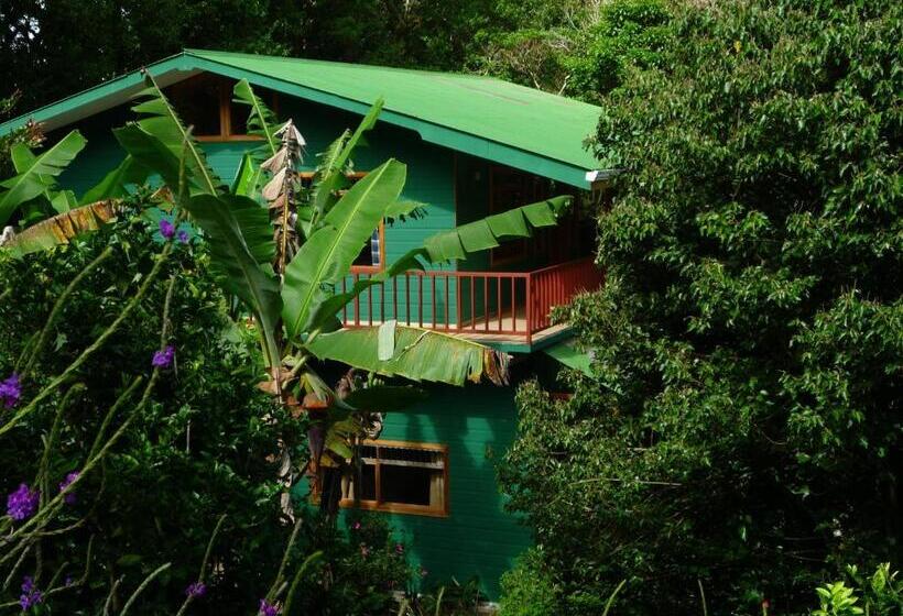 آپارتمان 1 خوابه, Hospedaje Mariposa