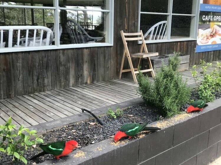 스탠다드 싱글 룸 퀸 침대, Gipsy Point Lodge