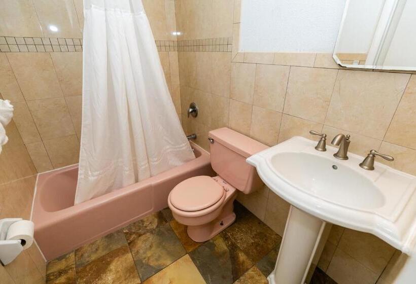 풀장 전망 스위트, American Safari Motel